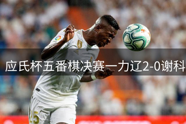 应氏杯五番棋决赛一力辽2-0谢科 率先拿到赛点