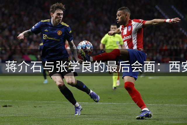 蒋介石与张学良的最后会面：西安事变留下的历史遗憾