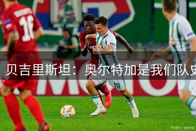 贝吉里斯坦：奥尔特加是我们队史最好二门
