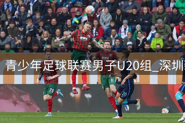 青少年足球联赛男子U20组 深圳新鹏城U20主场2比1逆转陕西联合U20